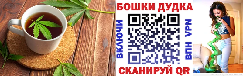купить сайты MEGA ТОР Canna-Cookies марихуана Прохладный