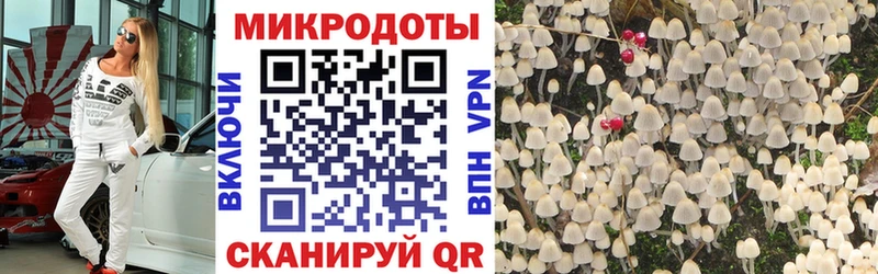 закладки  Прохладный  OMG зеркало  Галлюциногенные грибы Magic Shrooms 